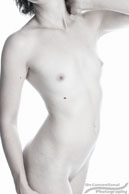 Torso / Mikki Stith